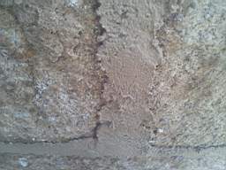 sandymount tower-16935.jpg